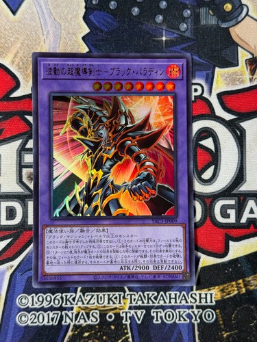 Yugioh dark paladin - dark,